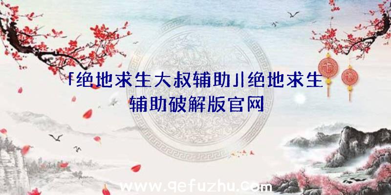 「绝地求生大叔辅助」|绝地求生辅助破解版官网